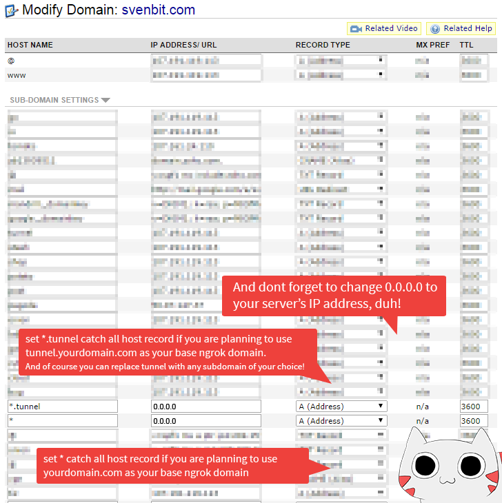 Setup host record for ngrok