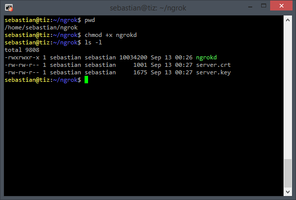 Place the ngrokd (server) executable and the certificates together