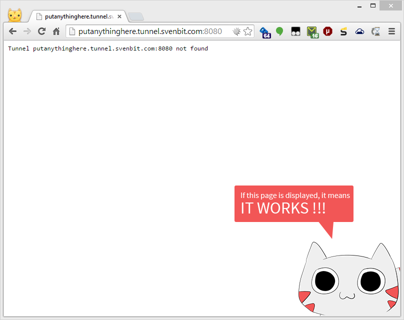 Note: Cat is not included in ngrok default page