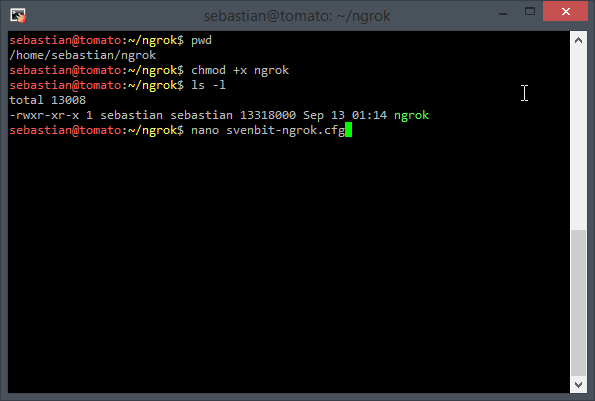 Creating ngrok client configuration file #1