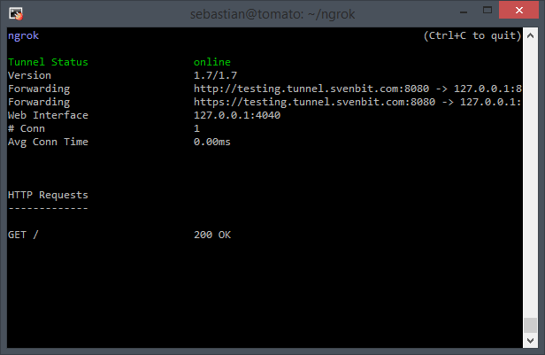 Ngrok client in action